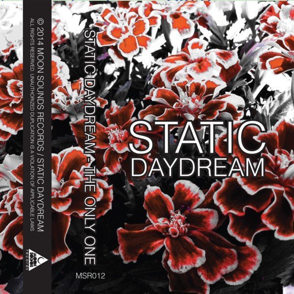 Static Daydream - The Only One Music Cassette Tapes Vinyl