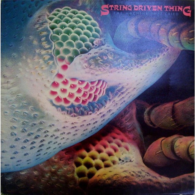String Driven Thing - The Machine That Cried Vinyl