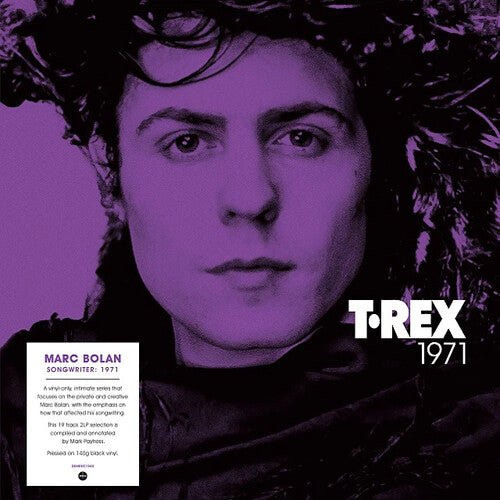 T. Rex - 1971 Records & LPs Vinyl