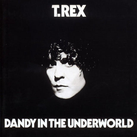 T. Rex - Dandy In The Underworld Records & LPs Vinyl