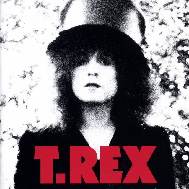 T. Rex - The Slider Records & LPs Vinyl