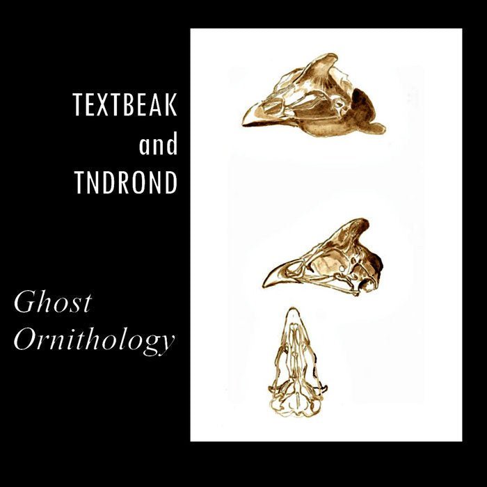 Textbeak And TNDROND - Ghost Ornithology Music Cassette Tapes Vinyl