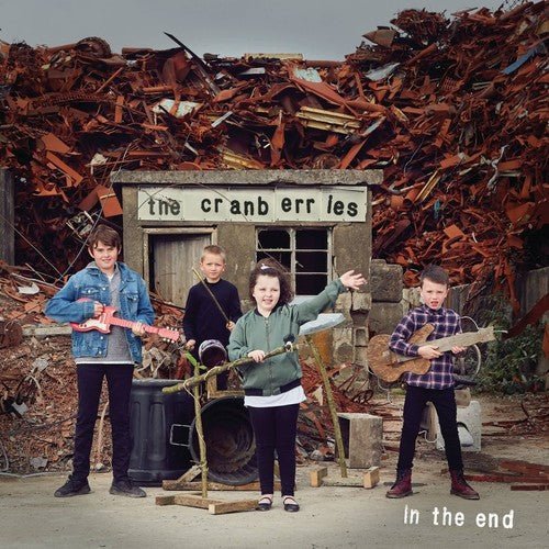 The Cranberries - In The End Records & LPs Vinyl