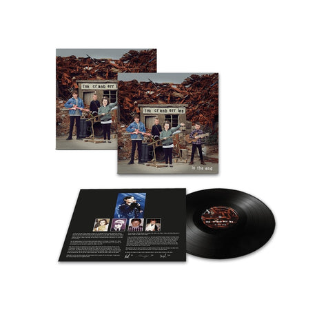 The Cranberries - In The End Records & LPs Vinyl