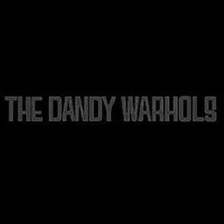 The Dandy Warhols – The Black Album Vinyl