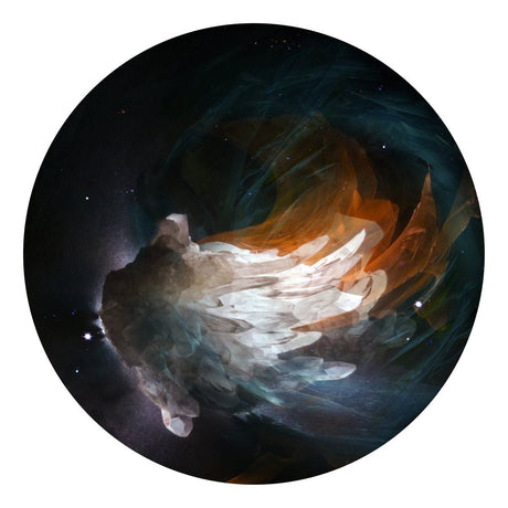 The Fauns - Lights Records & LPs Vinyl