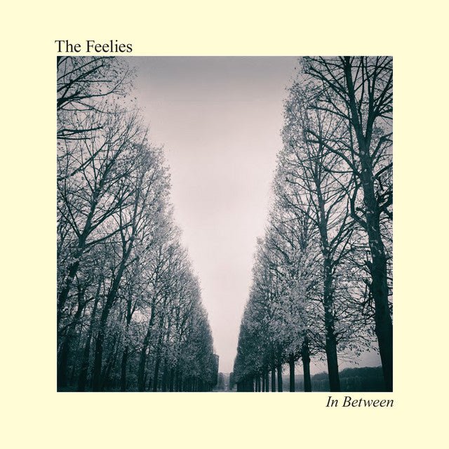 The Feelies - In Between Vinyl