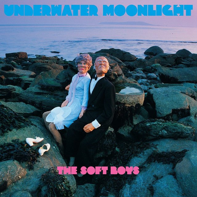 The Soft Boys - Underwater Moonlight Music CDs Vinyl