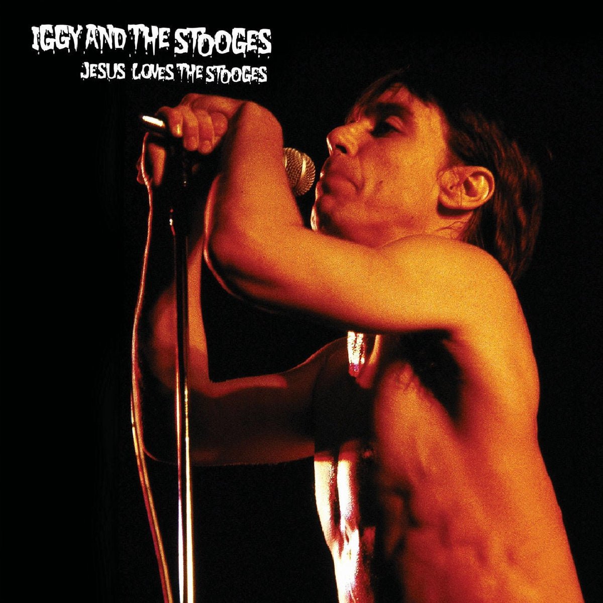 The Stooges - Jesus Loves The Stooges Vinyl