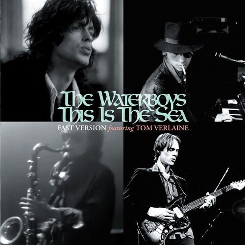 The Waterboys - This Is the Sea [Fast] 10" Box Set Vinyl