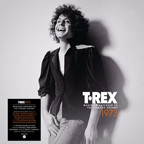 T.Rex - Whatever Happened To The Teenage Dream Vinyl Box Set Vinyl