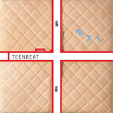 Various - 1999 Teenbeat Sampler - Saint Marie Records