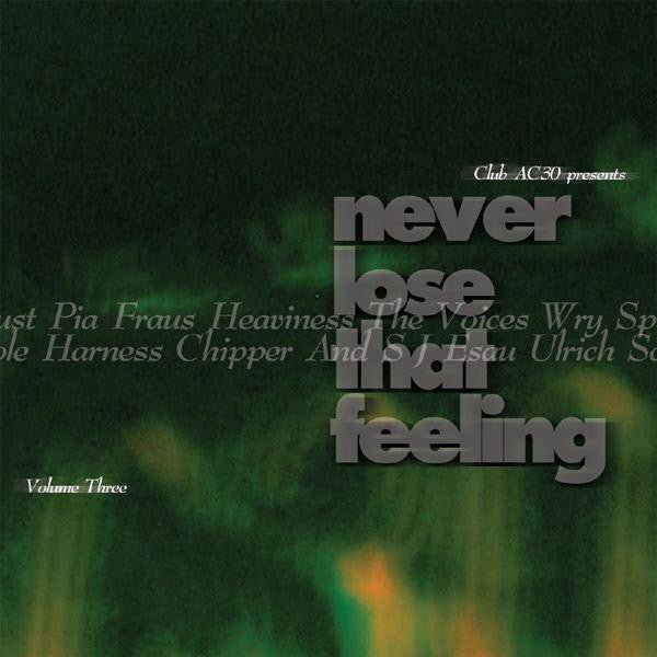Various - Never Lose That Feeling Volume Three Music CDs Vinyl