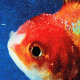 Vince Staples - Big Fish Theory Vinyl