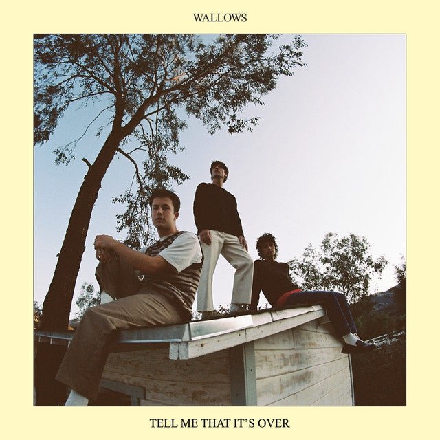 Wallows - Tell Me That It's Over Vinyl