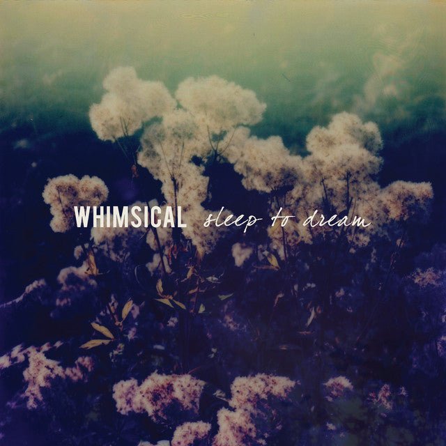 Whimsical - Sleep To Dream Records & LPs Vinyl
